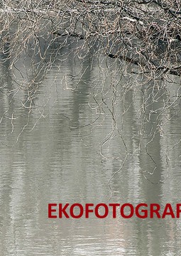 ekofotografia2017.jpg